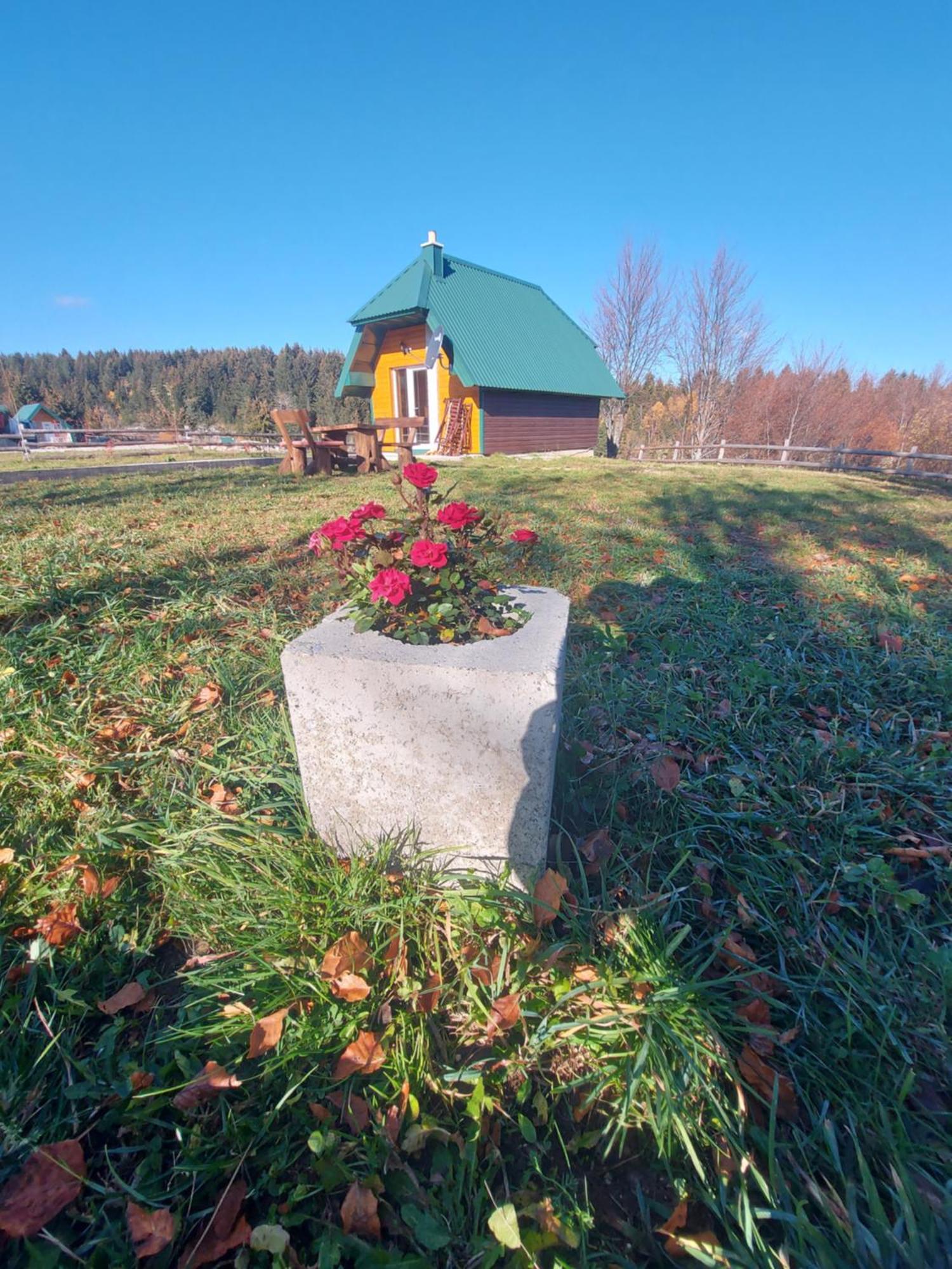Durmitor Bungalows 자블야크 외부 사진
