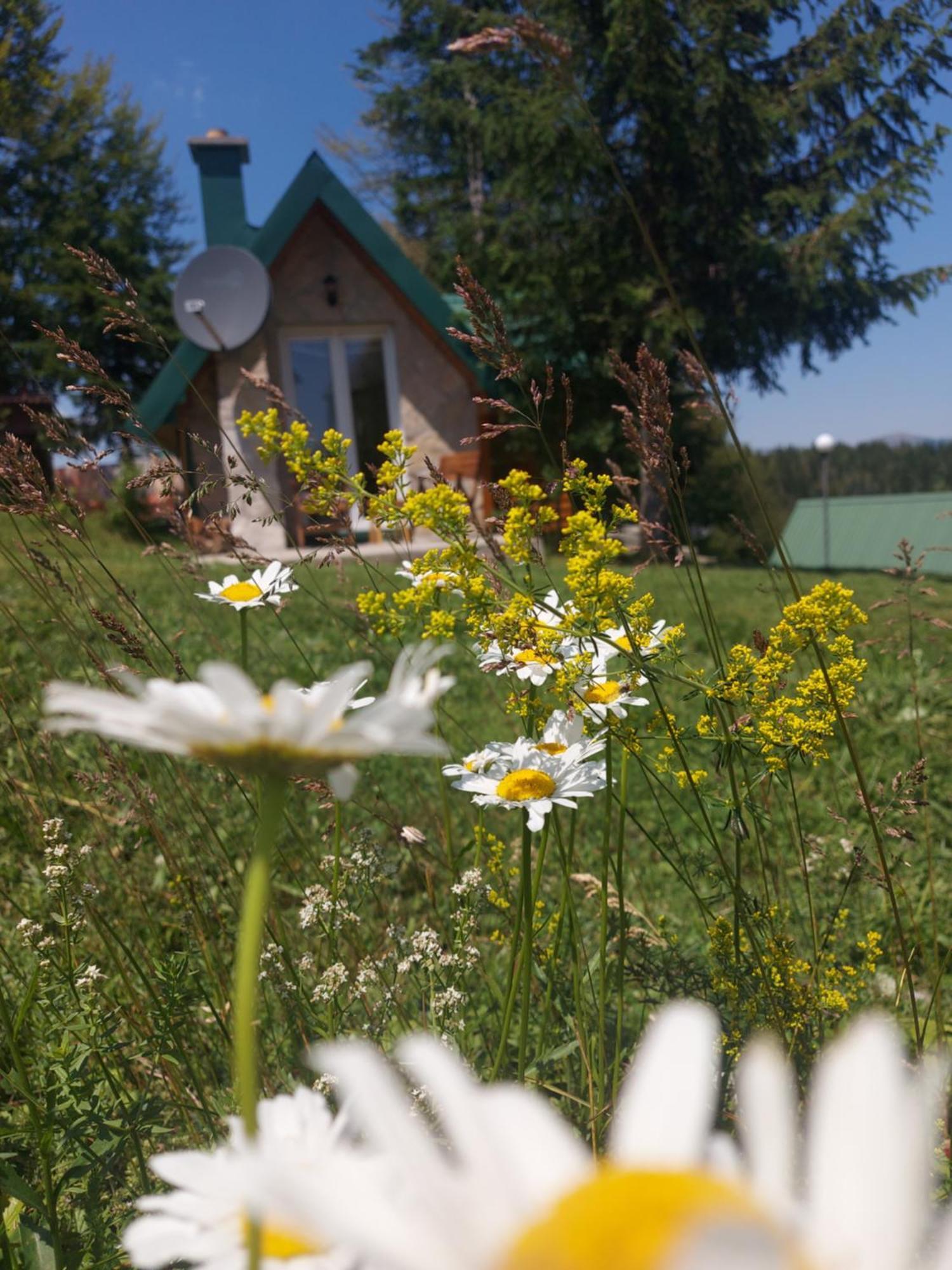 Durmitor Bungalows 자블야크 외부 사진
