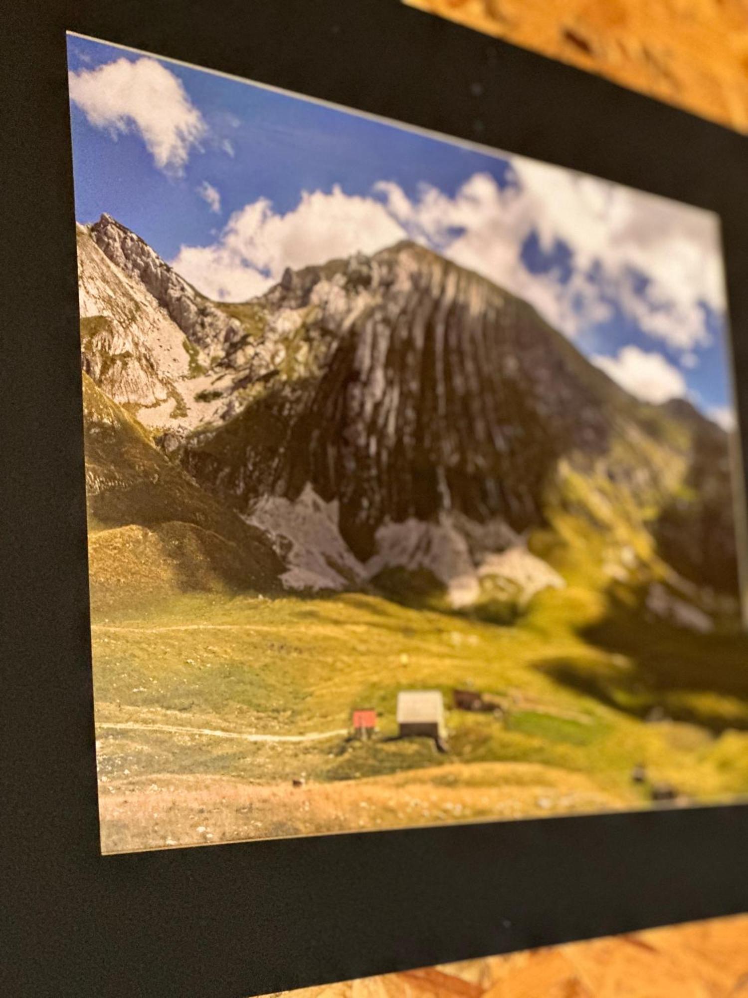 Durmitor Bungalows 자블야크 외부 사진